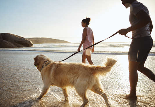 How to Stay Active and Energized as the Days Get Shorter